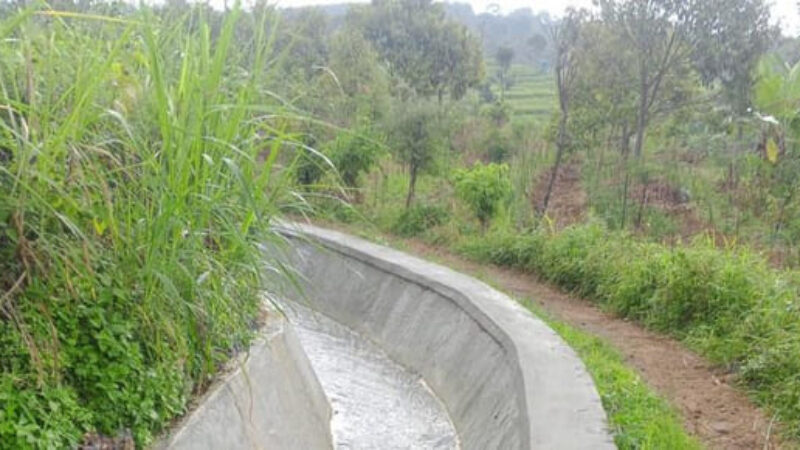 Irigasi Ngawi (2)